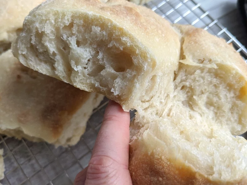 sourdough bread bun