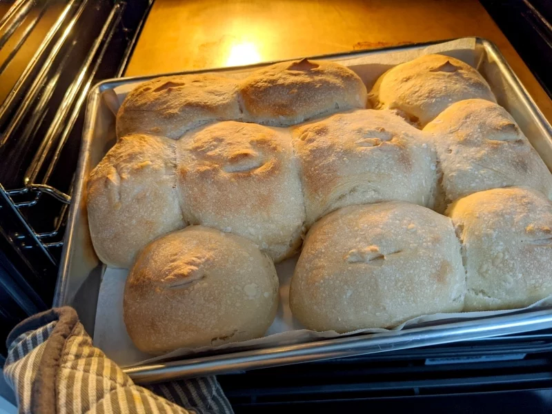 sourdough buns no yeast